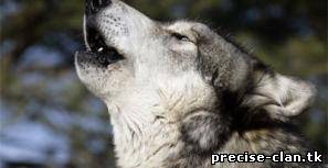 ПАБЛИК СЕРВЕР ДЛЯ КСС В34